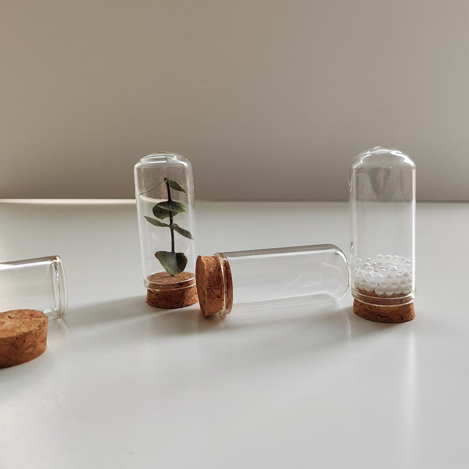 7*3 cm Cam Ters Fanus Mantarlı