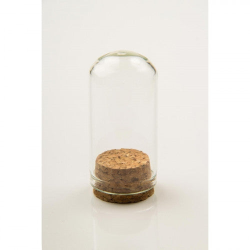 7*3 cm Cam Ters Fanus Mantarlı