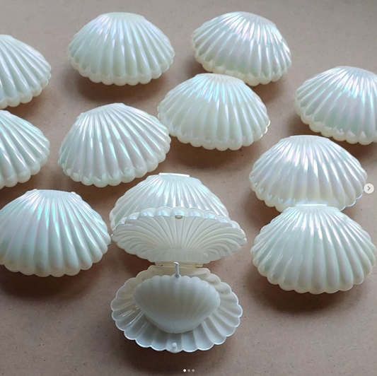 İthal İstiridye Kutu Sedef