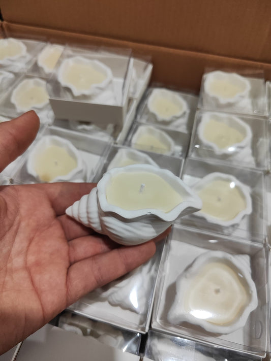 Deniz Kabuğu Mum Kutulu