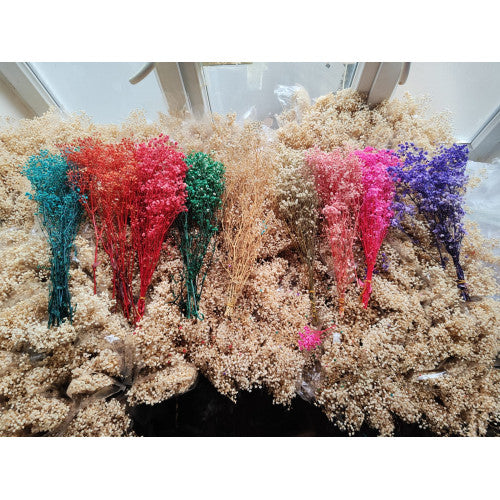 Doğal Cipso Çiçek